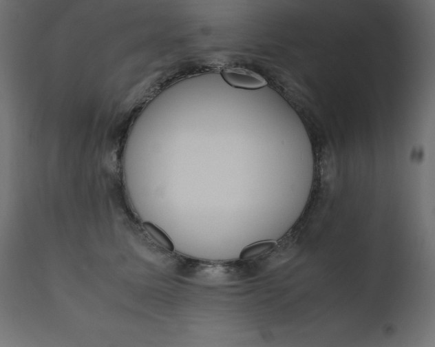 X0000110730611200906261520