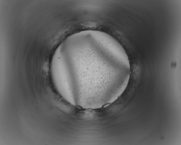 X0000110730612200906261520