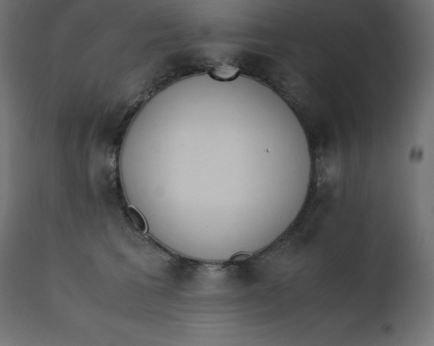 X0000110730613200906261520