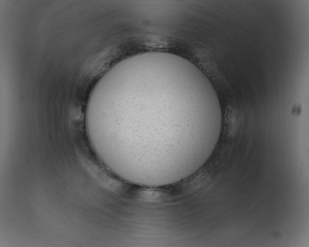 X0000110730614200906261520