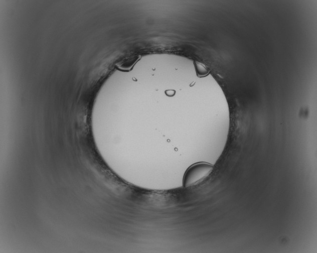 X0000110730615200906261520