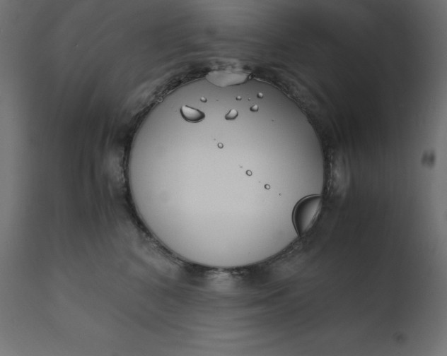 X0000110730616200906261520