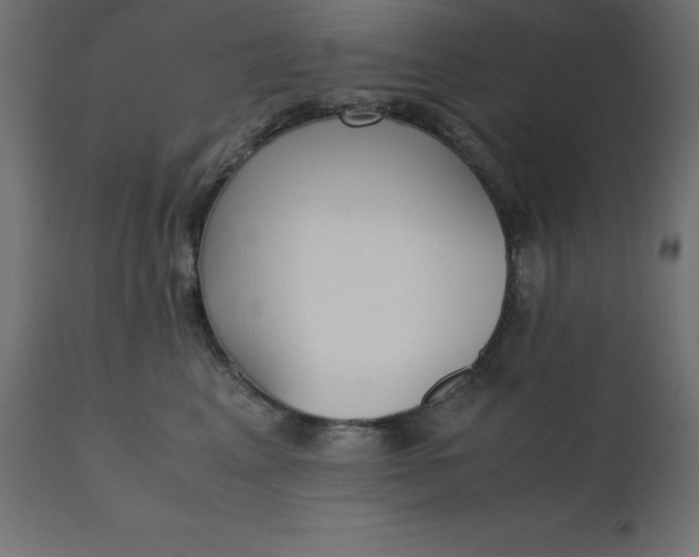 X0000110730617200906261520