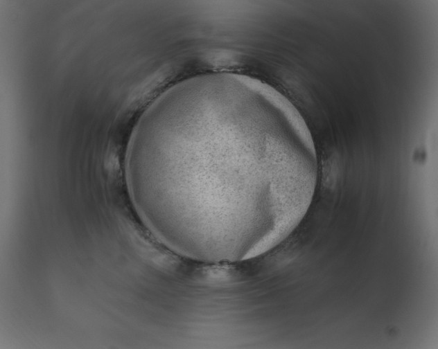 X0000110730618200906261520