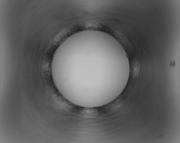 X0000110730619200906261520