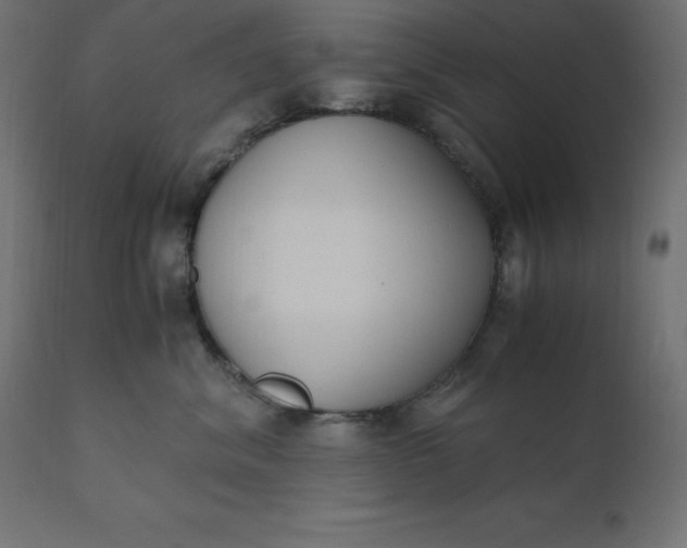 X0000110730620200906261520