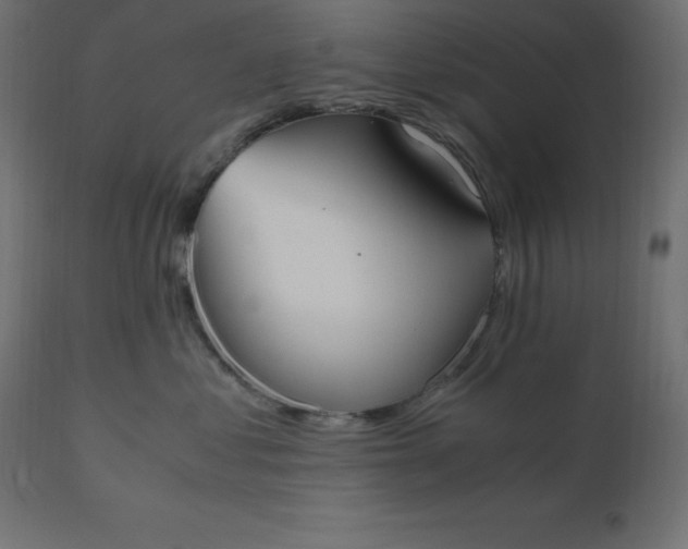 X0000110730621200906261520