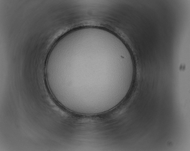 X0000110730625200906261520