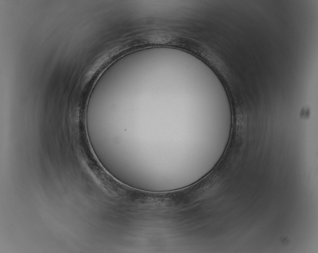 X0000110730626200906261520