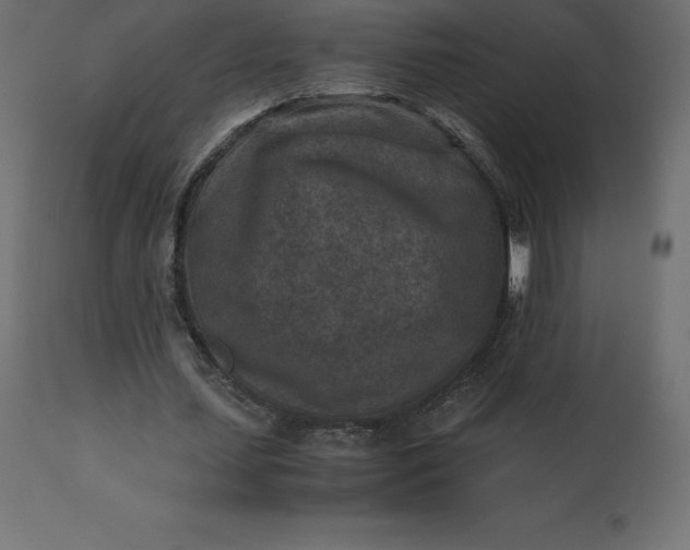 X0000110730627200906261520