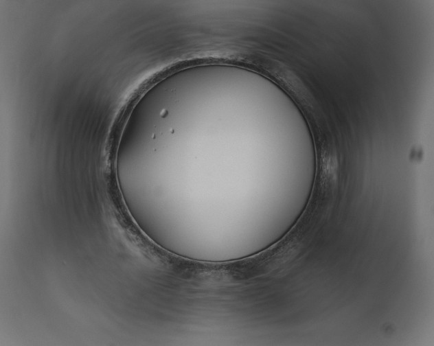 X0000110730628200906261520