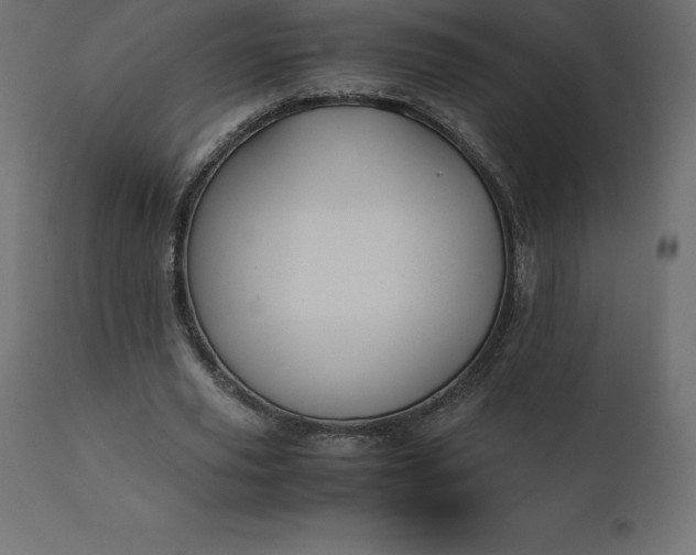 X0000110730629200906261520