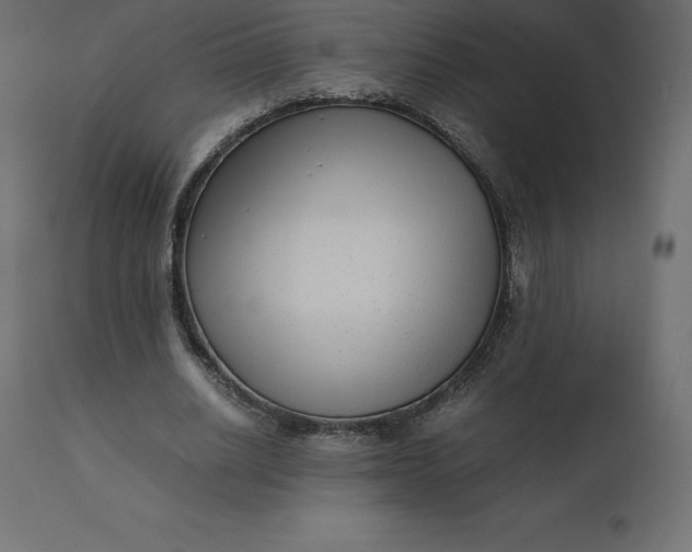 X0000110730630200906261520