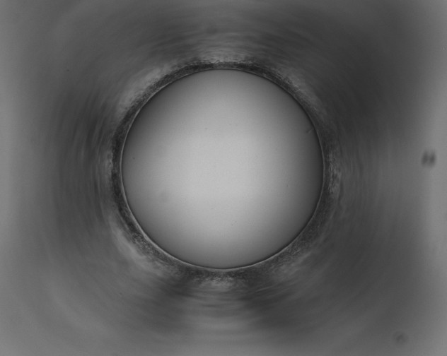 X0000110730631200906261520