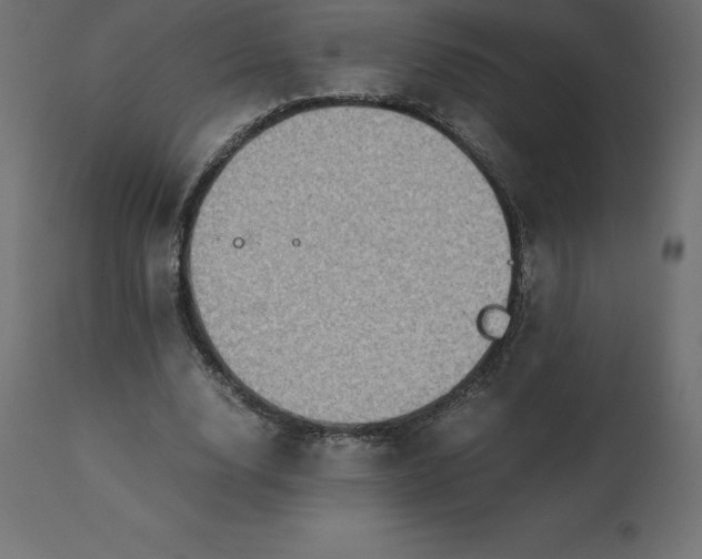 X0000110730632200906261520