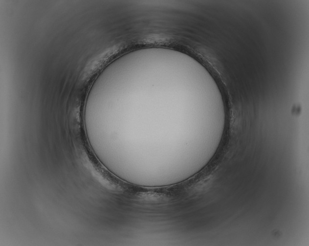 X0000110730633200906261520