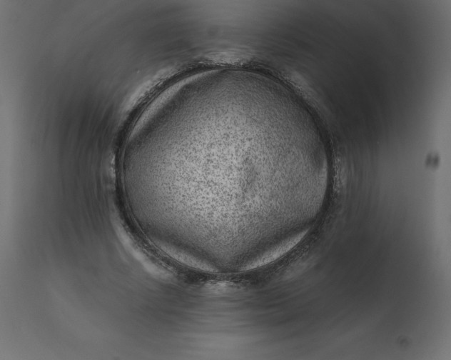 X0000110730634200906261520