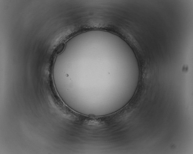 X0000110730635200906261520