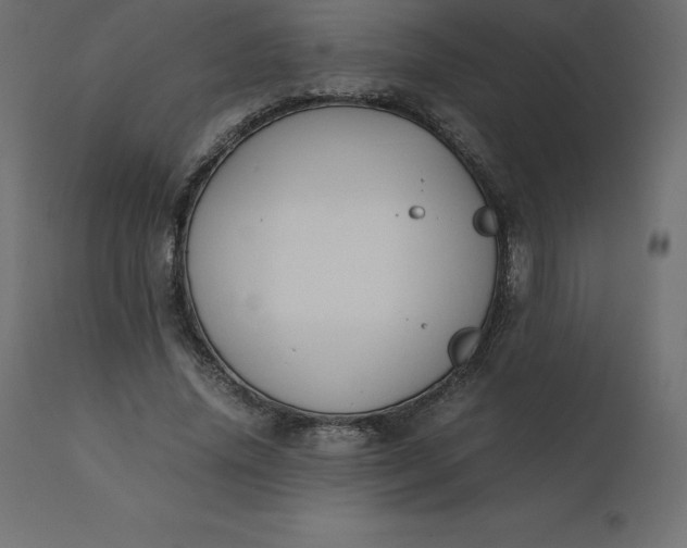 X0000110730636200906261520