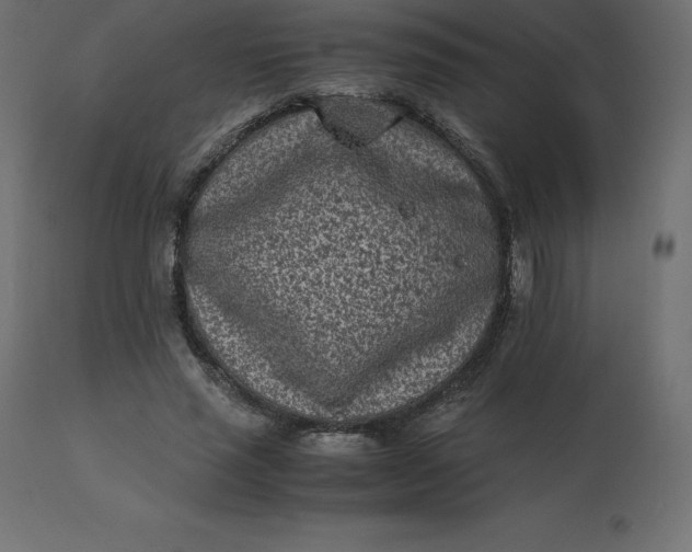 X0000110730637200906261520