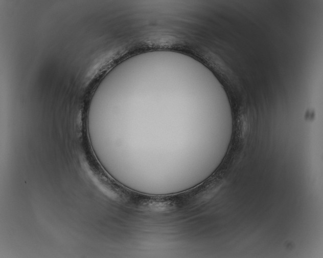 X0000110730638200906261520