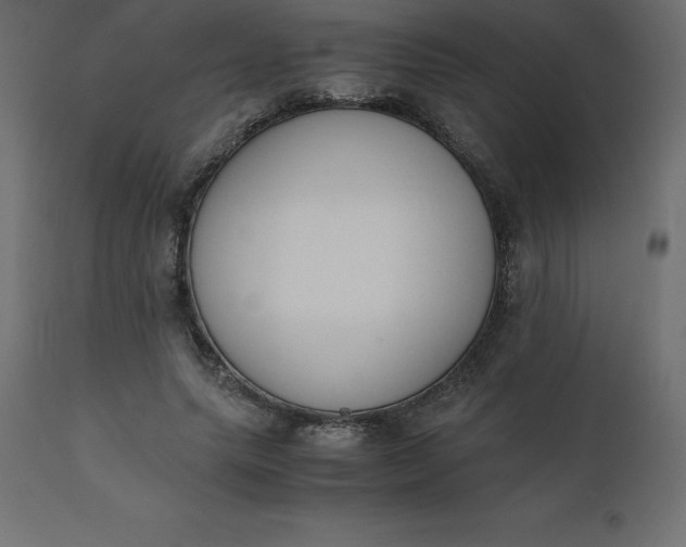 X0000110730639200906261520