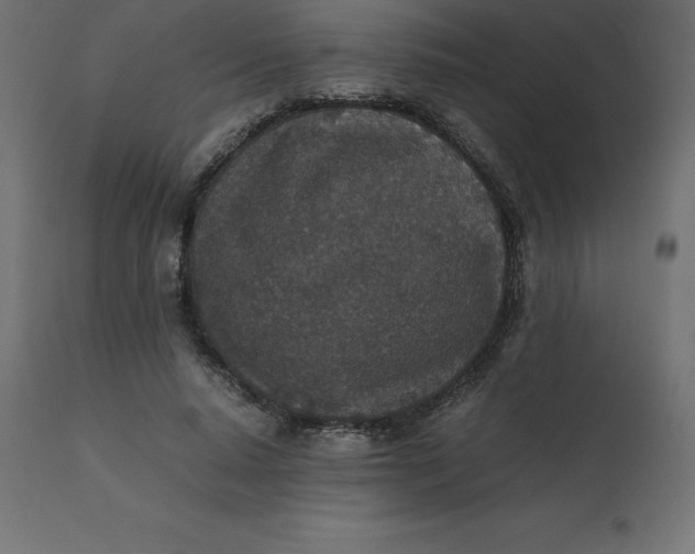 X0000110730640200906261520