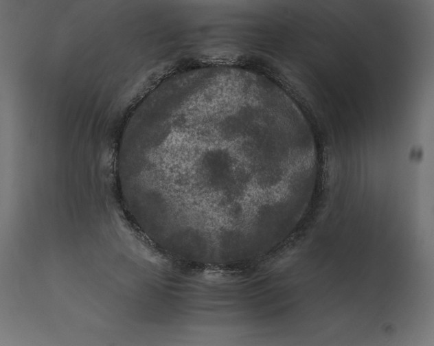 X0000110730641200906261520