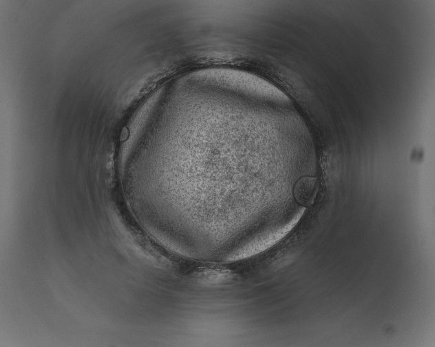 X0000110730642200906261520