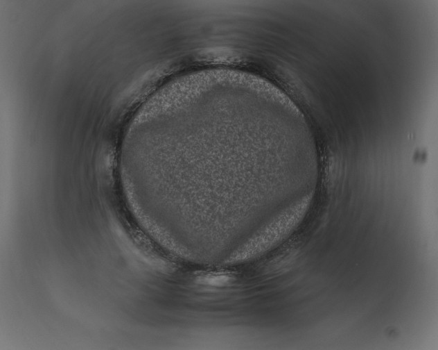 X0000110730643200906261520