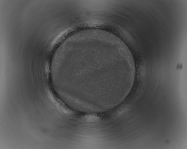 X0000110730644200906261520