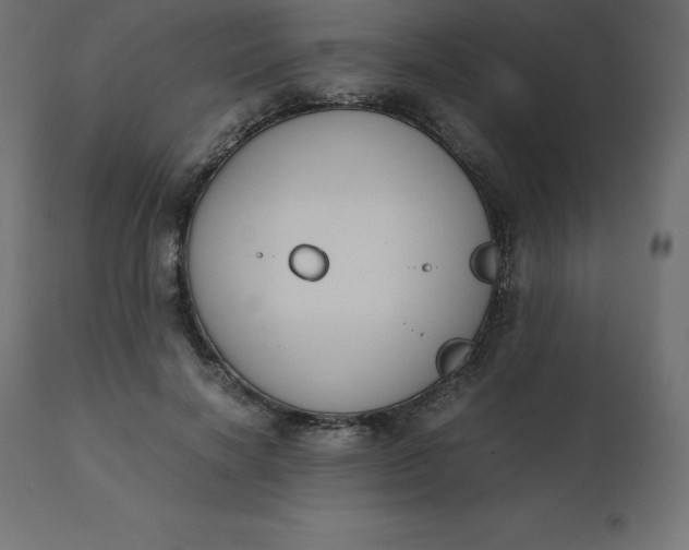 X0000110730646200906261520