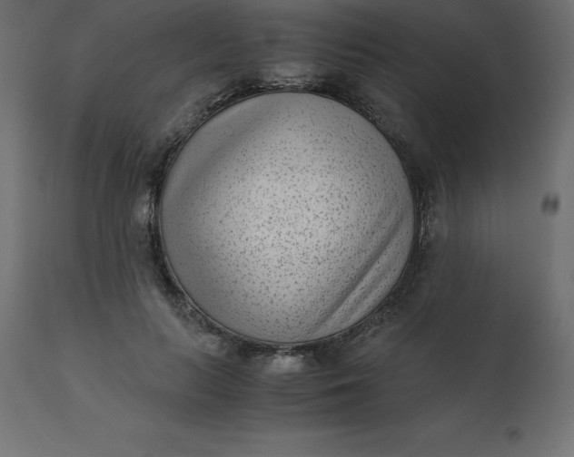 X0000110730647200906261520