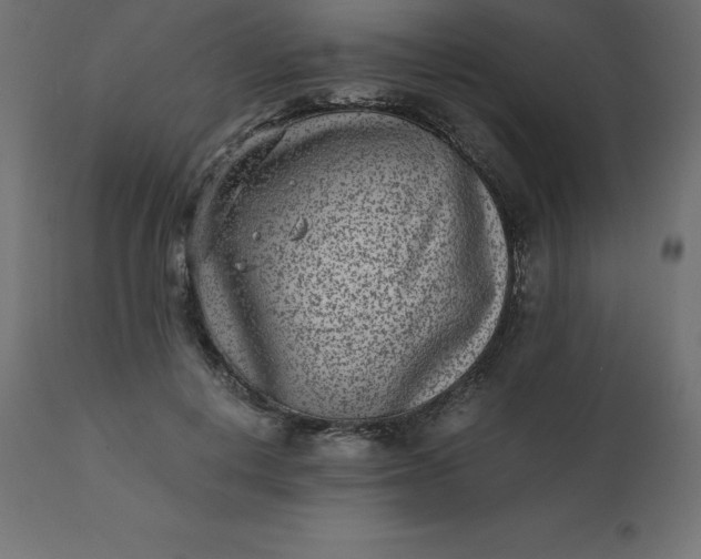 X0000110730648200906261520