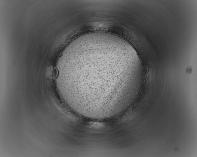 X0000110730649200906261520