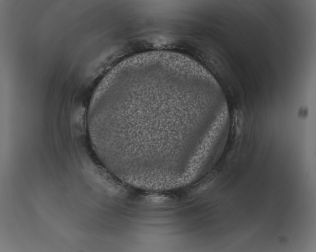 X0000110730650200906261520