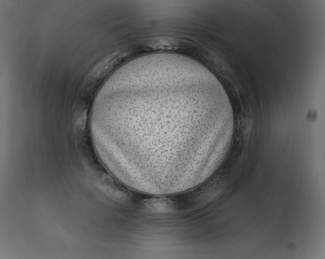 X0000110730652200906261520