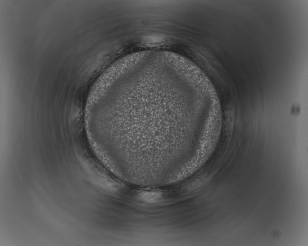 X0000110730653200906261520