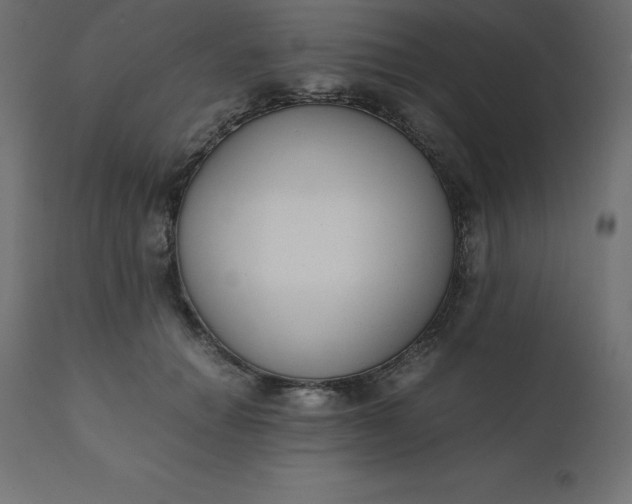 X0000110730654200906261520