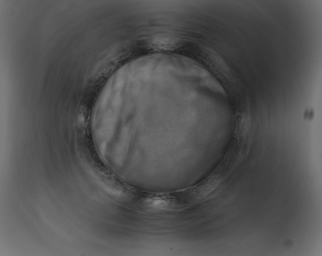 X0000110730655200906261520