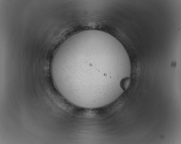 X0000110730656200906261520