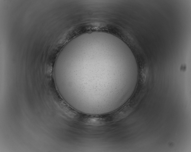 X0000110730657200906261520