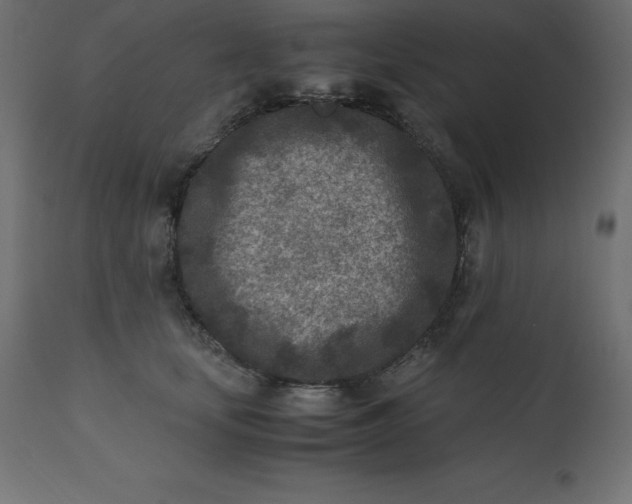 X0000110730659200906261520