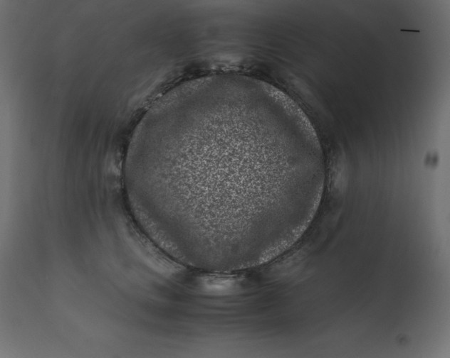 X0000110730661200906261520