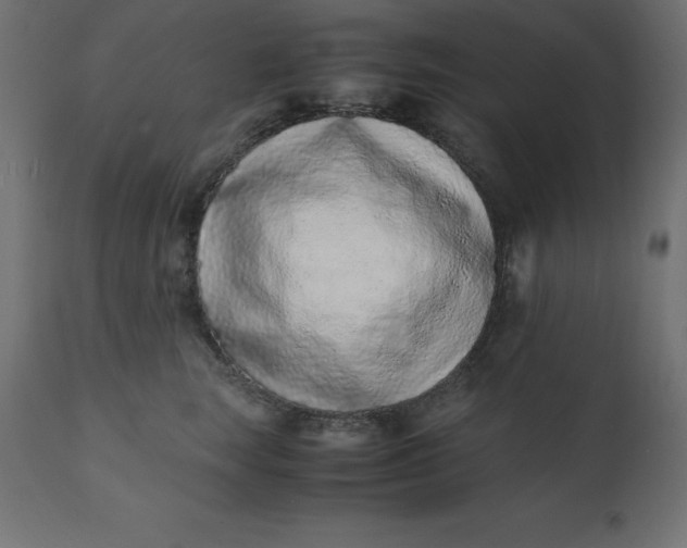 X0000110730663200906261520