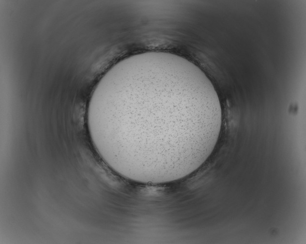 X0000110730664200906261520