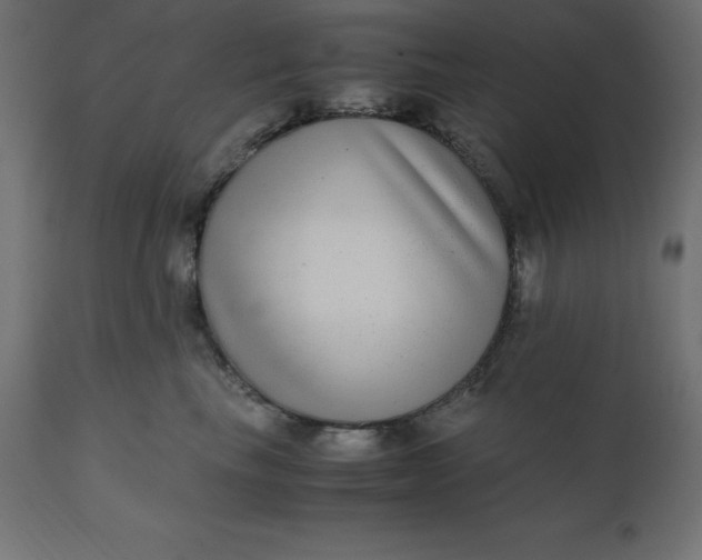 X0000110730665200906261520