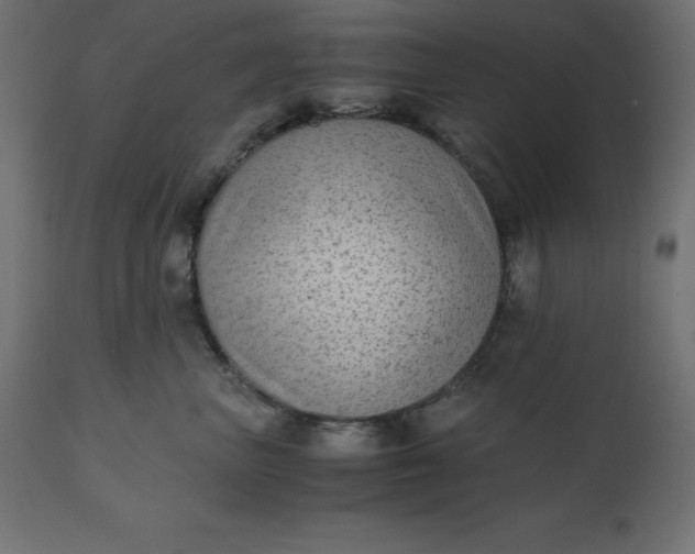 X0000110730667200906261520