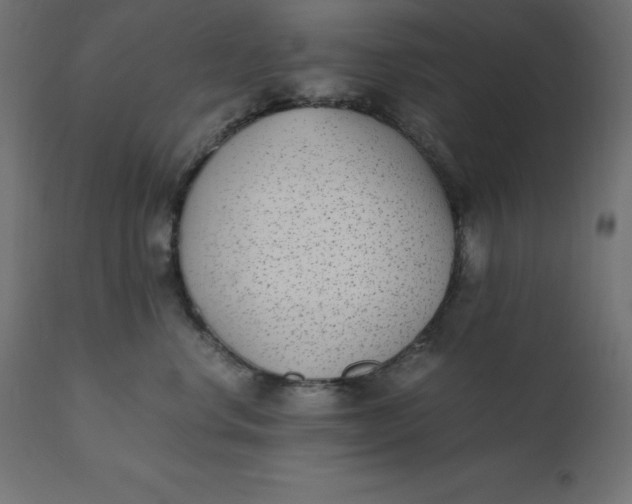 X0000110730668200906261520