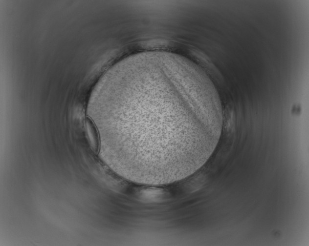 X0000110730669200906261520